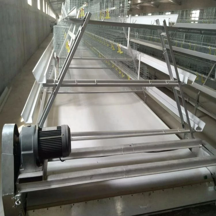 ManureBelt (6)