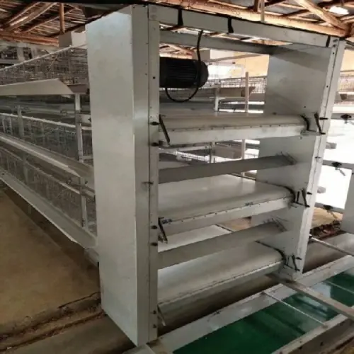 YIXINQUAN poultry manure belt 3-month warranty fast delivery