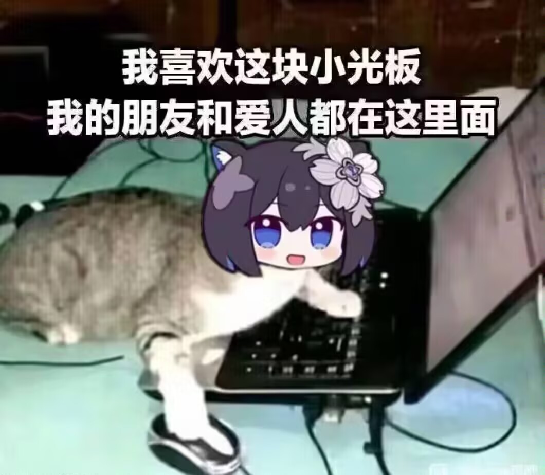 223D1E3F89D82D6551629EA071573F29