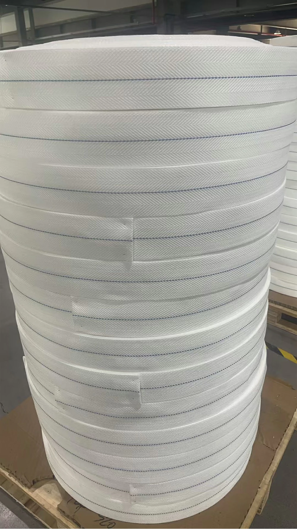 automatic egg collection belt system