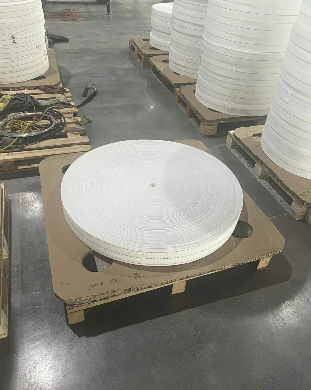 white egg collection belt for poultry farm