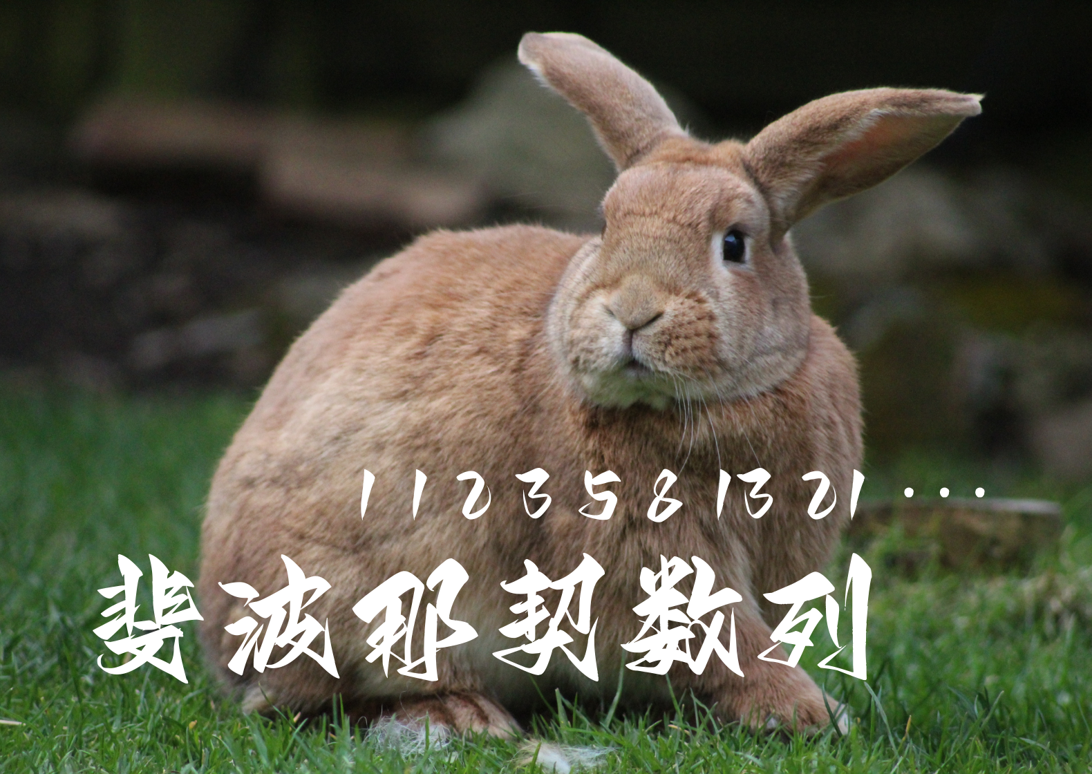 用对角化求斐波那契数列通项公式
