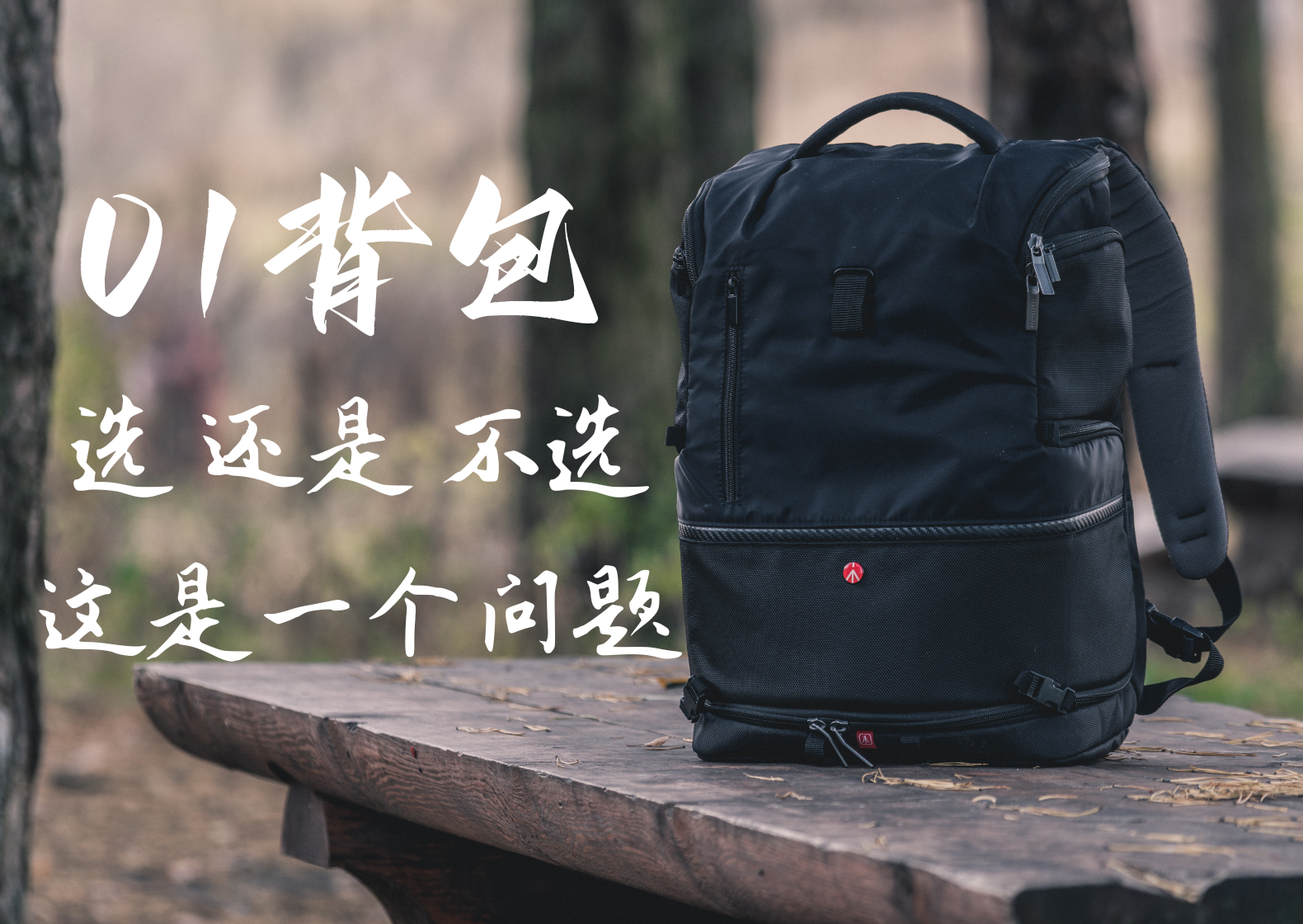 01背包