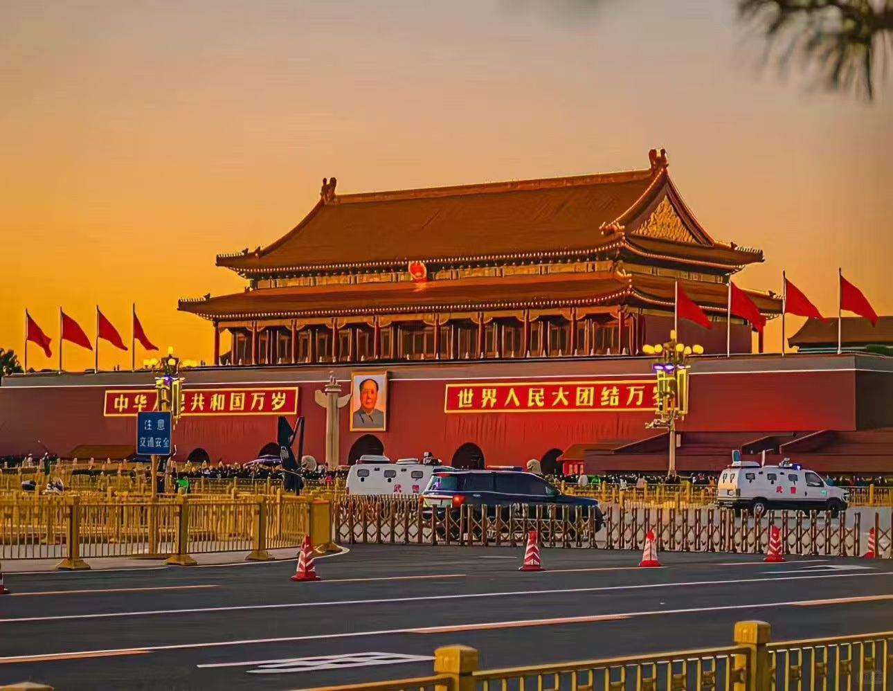 蛙言网✅-子比主题美化教程网络资源分享