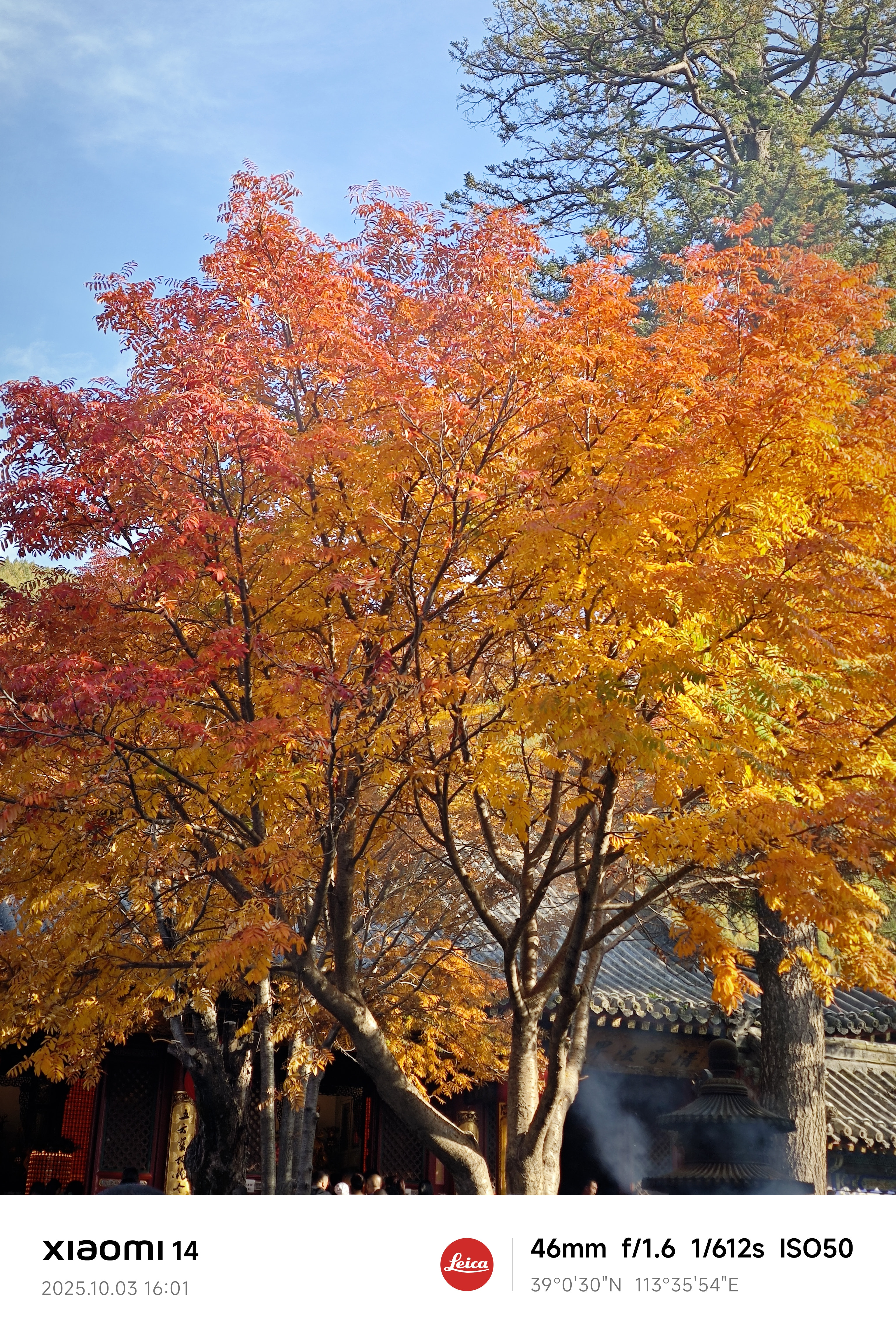 IMG 20251003 160149