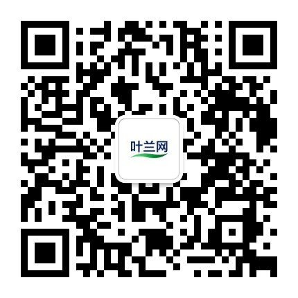 叶兰导航网 - 微信号