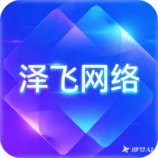 泽飞网络