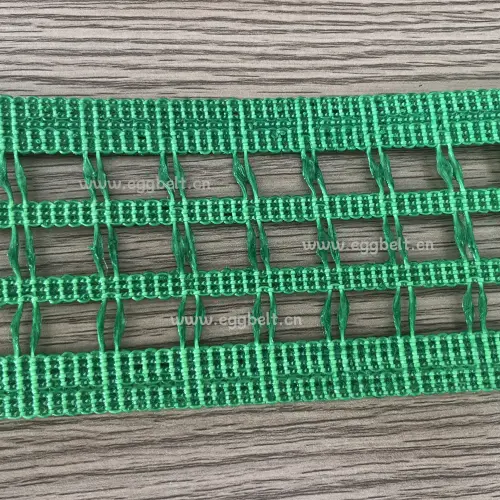 Major Upgrade! Egg Conveyor Belt Officially Enters the Fourt