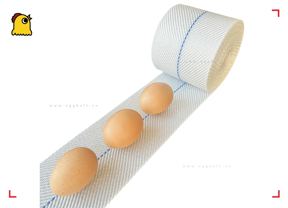 OEM replacement egg conveyor belt