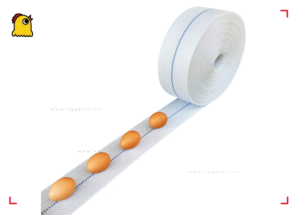 Polypropylene Egg Conveyor Belt for Cage Chickens - 95MM Width