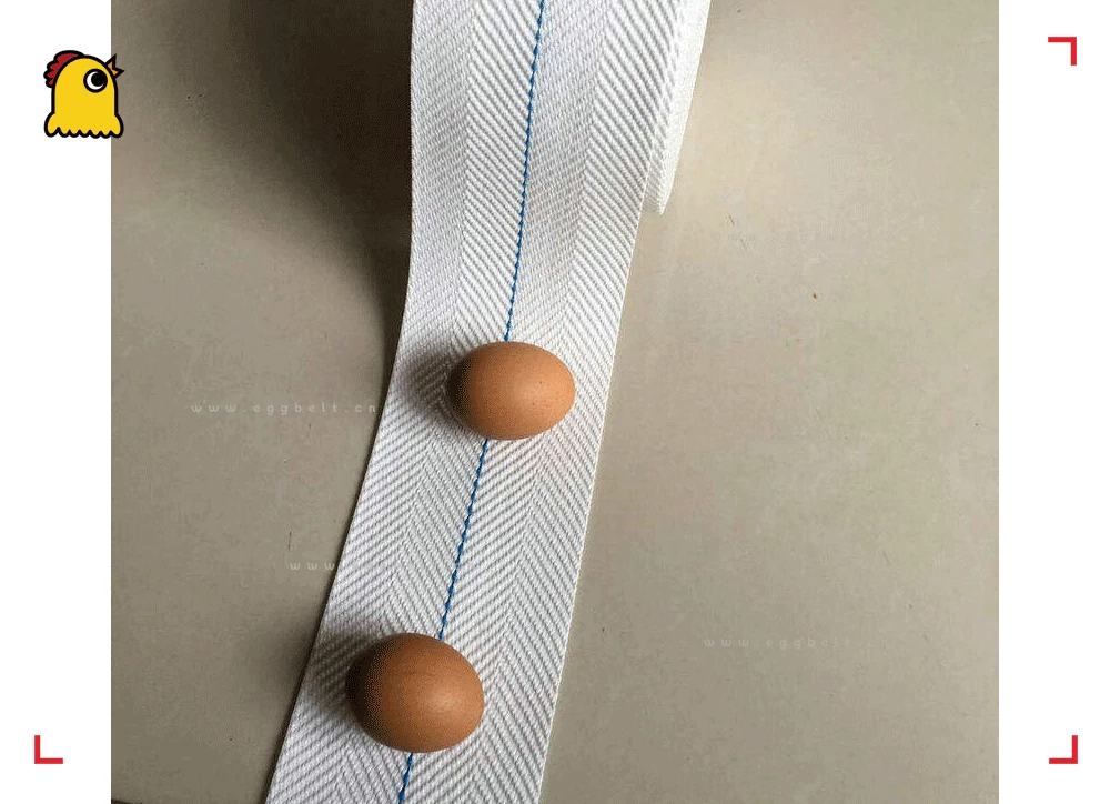 durable polypropylene egg belt 1.2 mm