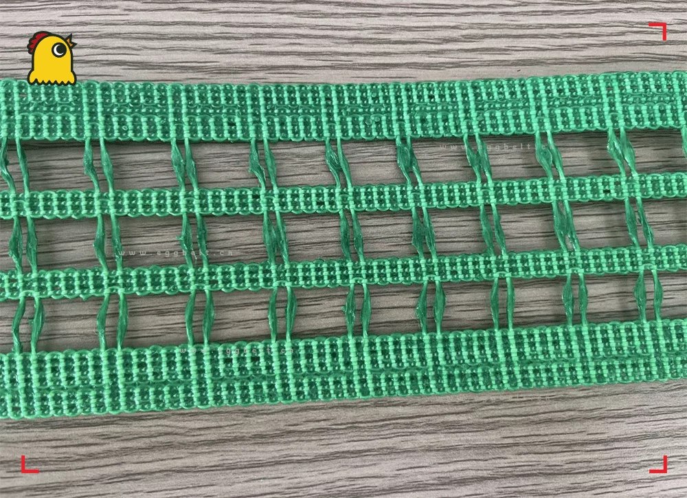 Egg transport on advanced perforated belt with manure residue draining through micro-holes for hygiene