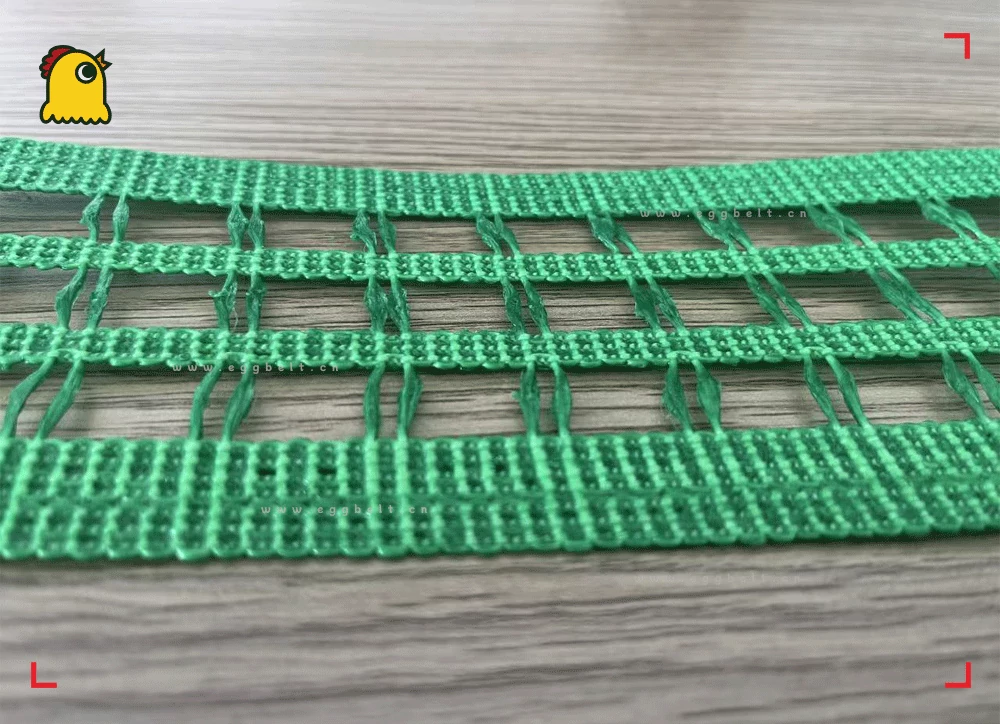 4th generation egg collecting belt 2025 polyester PVC composite new upgrade