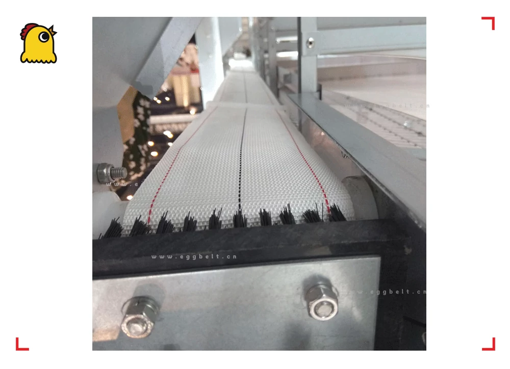 egg conveyor belt for duck house, 1.5mm heavy duty
