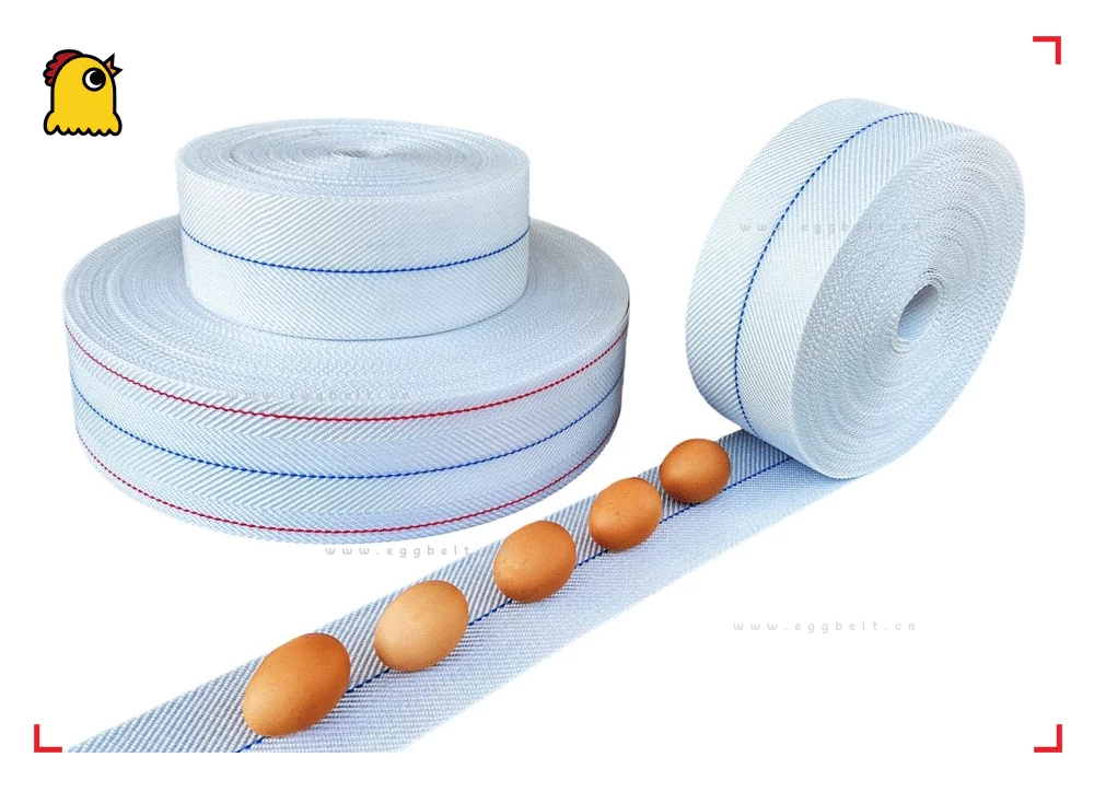 90 degree curved egg conveyor belt 2025 corner poultry automation AI