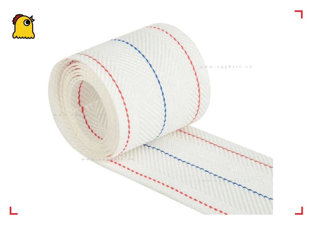 anti-slip inclined egg conveyor belt 2025 15° slope smart farm elevation