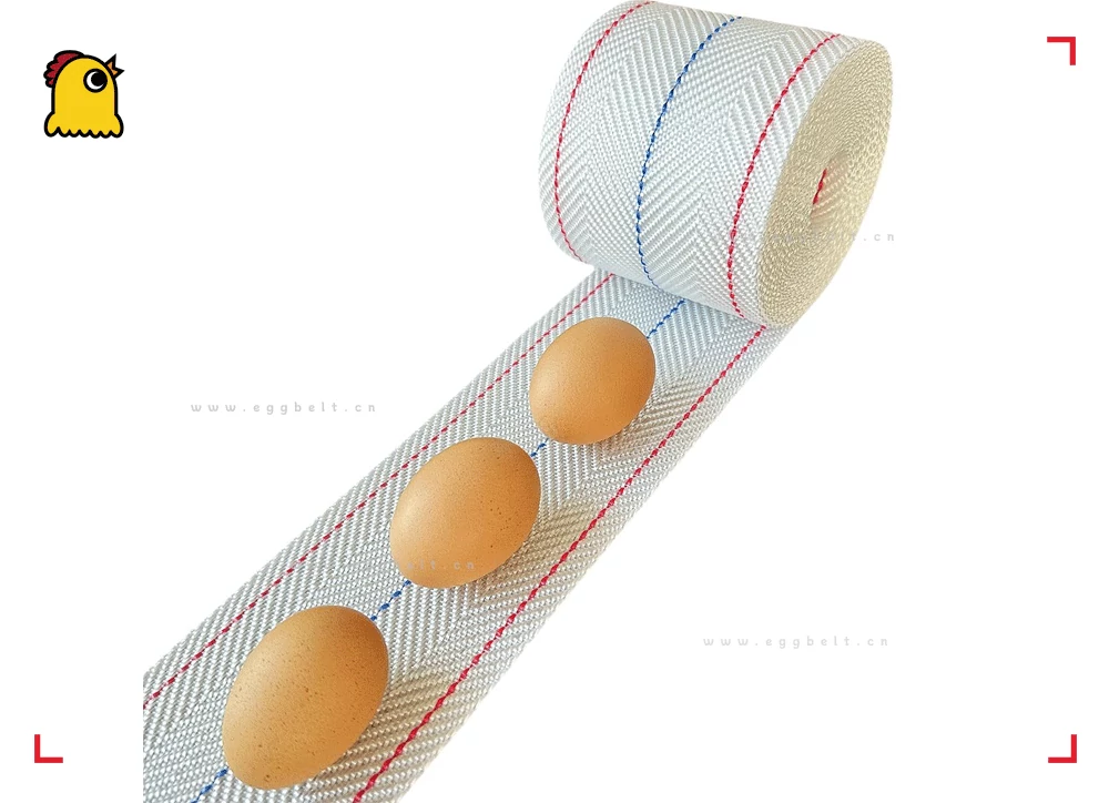 smart egg conveyor belt 2025 AI poultry automation gentle transport cracked-free