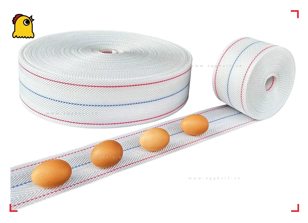 100 mm Heavy-Duty Polypropylene Egg Belt
