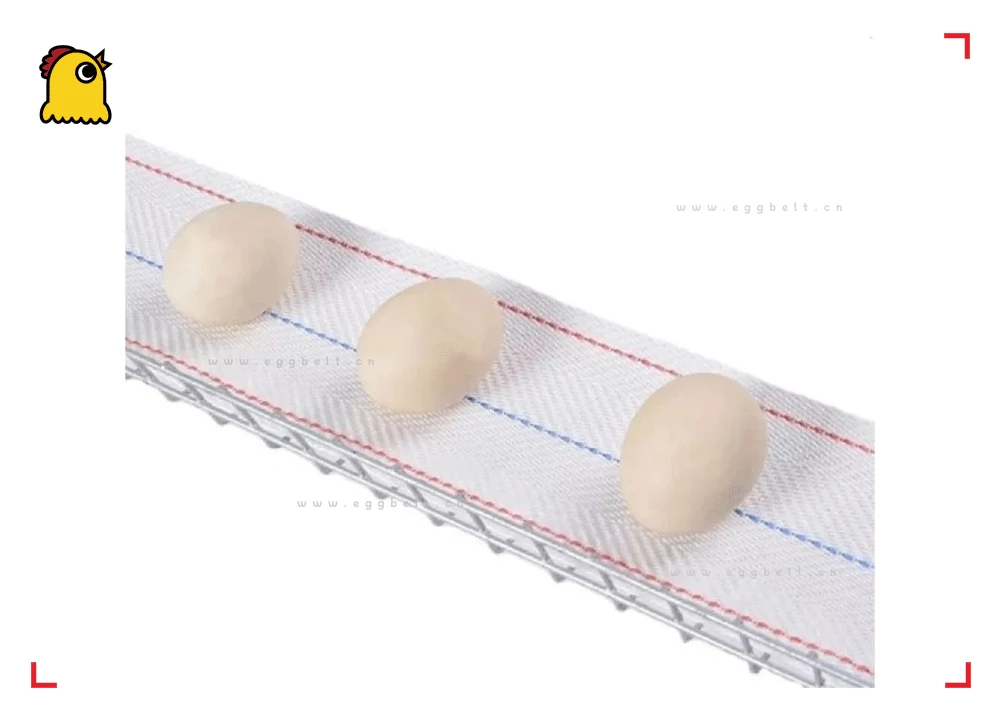 auto gentle egg pickup claw 2025 soft grip robotic poultry grading line