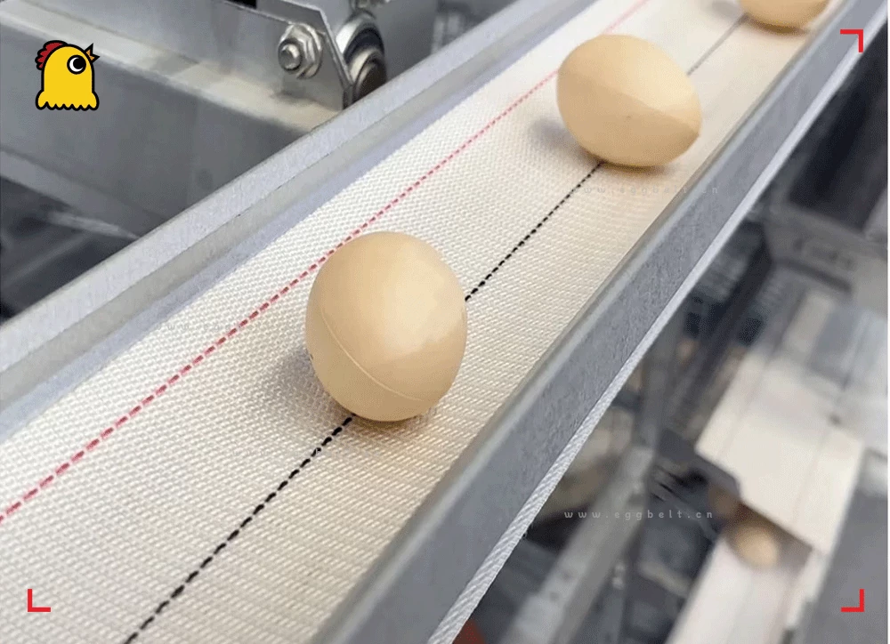 egg conveyor belt for quail cages, 70mm narrow width