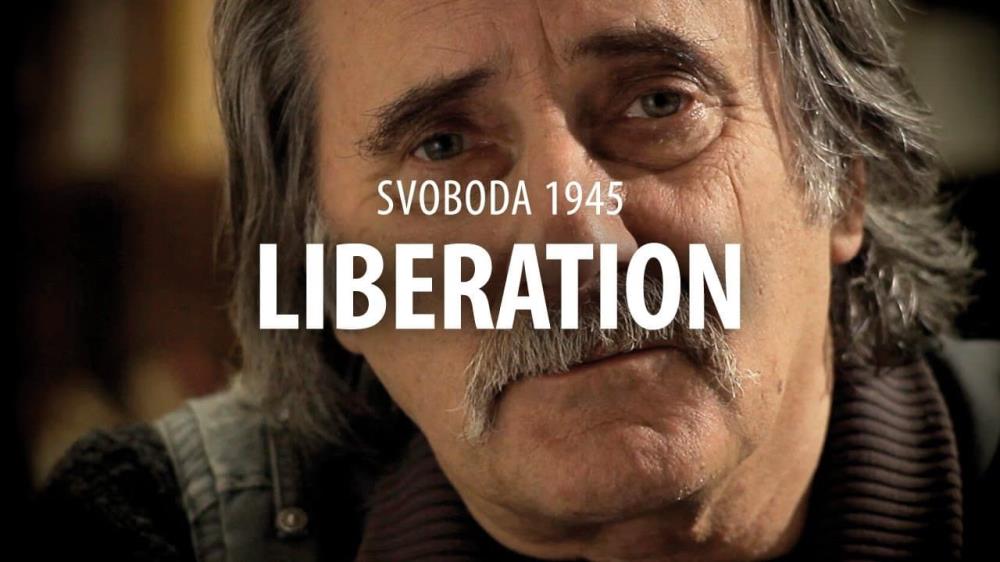 【Switch】斯沃博达1945：解放 Svoboda 1945 Liberation|官方英文|NSZ|-3DD游戏屋