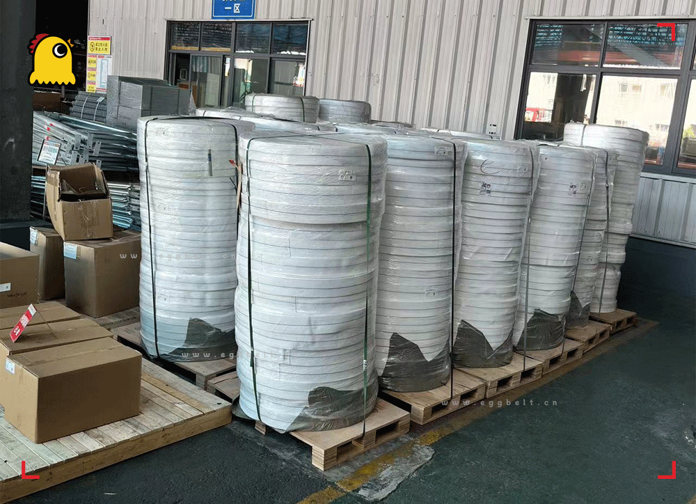 Egg conveyor belt pallet packaging Egg conveyor belt pallet packaging
