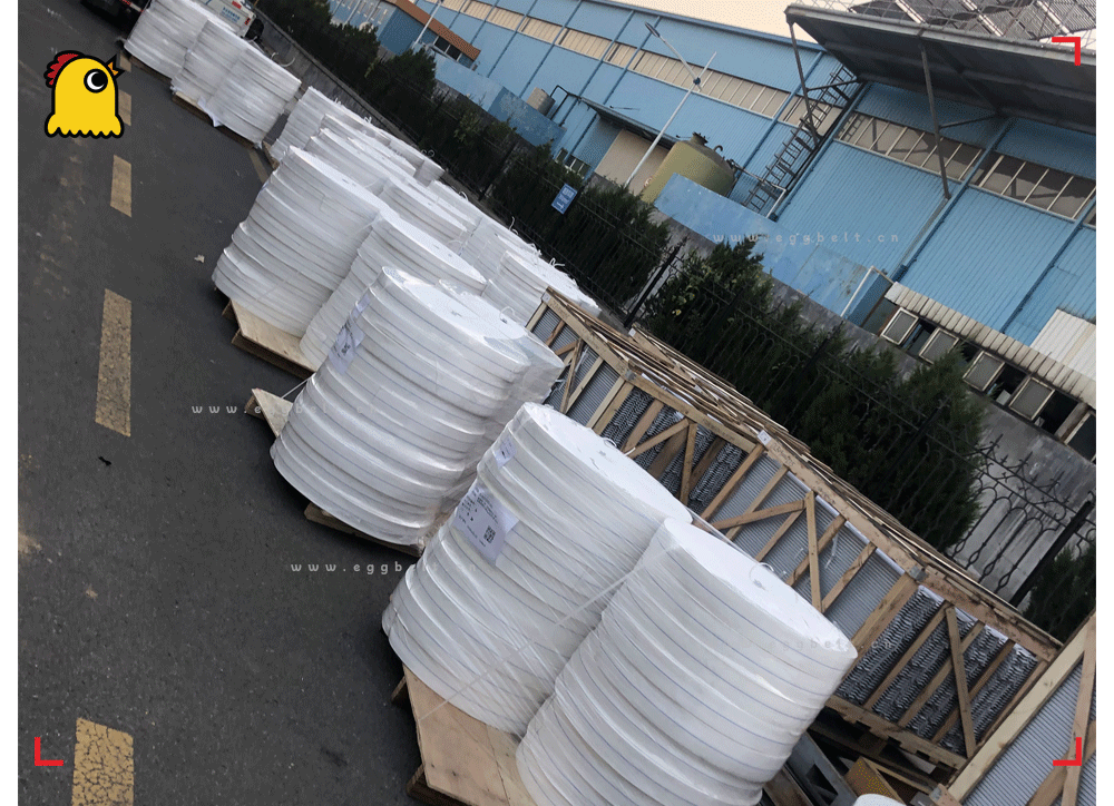 Full container load of egg conveyor belts egg conveyor belts shipping