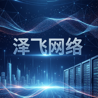 泽飞网络