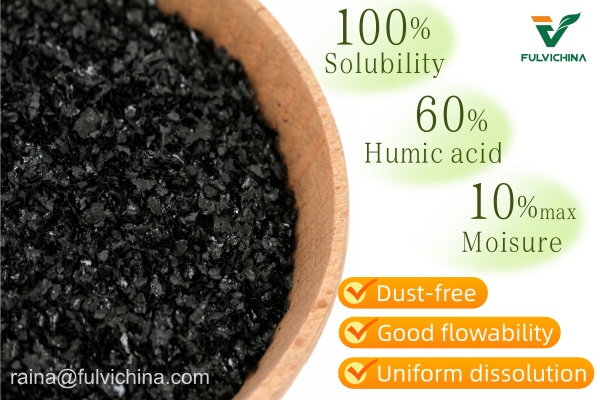 Sodium Humate in Oil Drilling