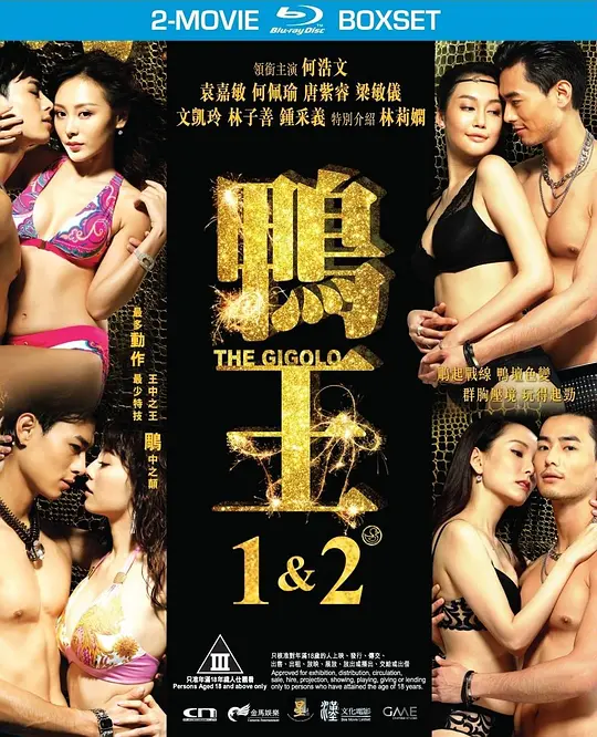 鸭王2.The.Gigolo.2.2016.HKG.BluRay.X265.2Audio.AC3.H5[国语/粤语]