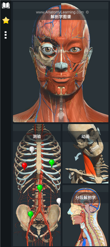 3drtjpt01