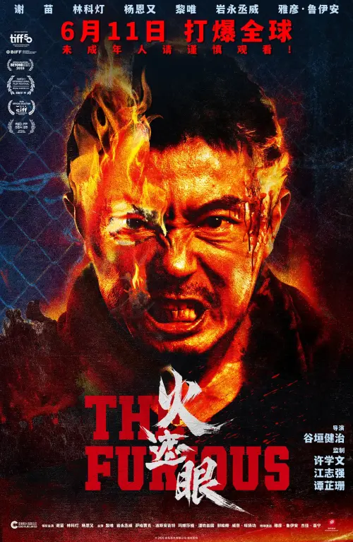 火遮眼.The.Furious.2025.BluRay.X265.2Audio.AC3.H5[国语/英语]