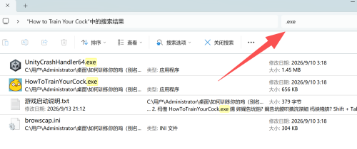 图片[9]-【游戏安装教程】通用所有电脑游戏-电玩纪元